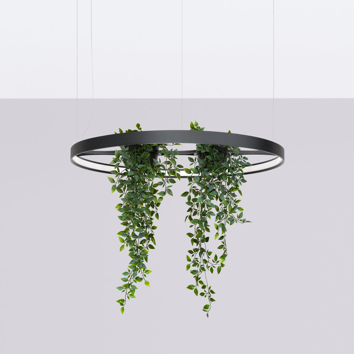 Suspension Rio Bio Ø 78 cm noir